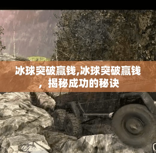 冰球突破赢钱,冰球突破赢钱,揭秘成功的秘诀