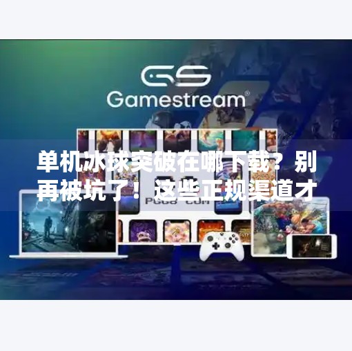 单机冰球突破在哪下载？别再被坑了！这些正规渠道才靠谱！单机冰球突破在哪下载