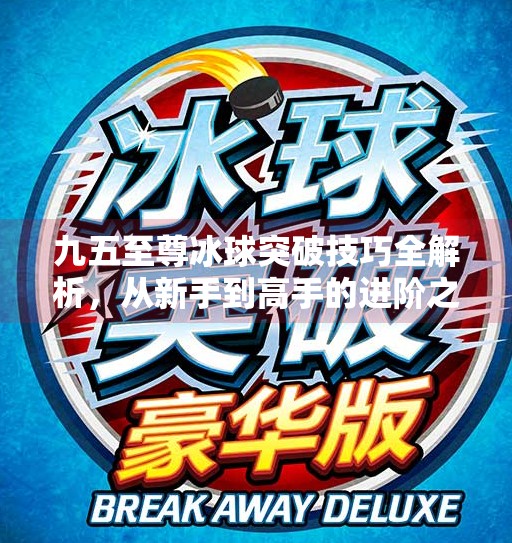 九五至尊冰球突破技巧全解析,从新手到高手的进阶之路,九五至尊冰球突破技巧