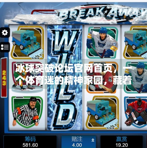 冰球突破论坛官网首页,一个体育迷的精神家园,藏着多少热血与梦想?冰球突破论坛官网首页