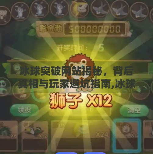 冰球突破网站揭秘,背后真相与玩家避坑指南,冰球突破的网站是什么